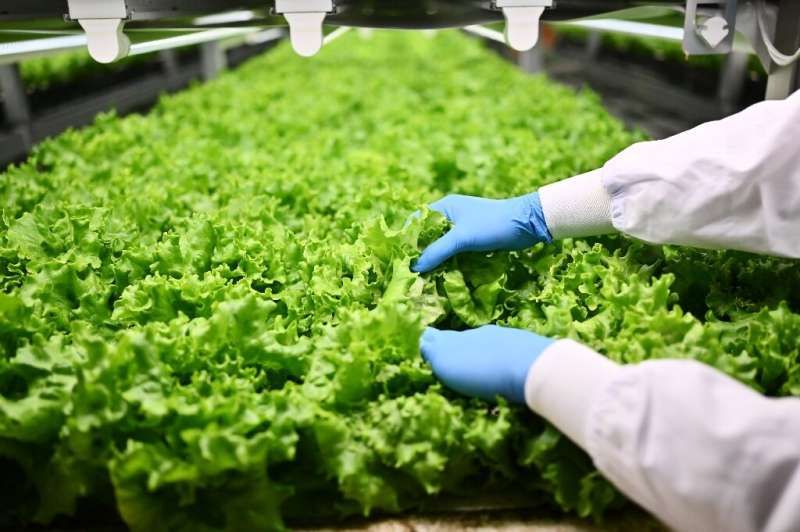 Vertical farming Vertical farming